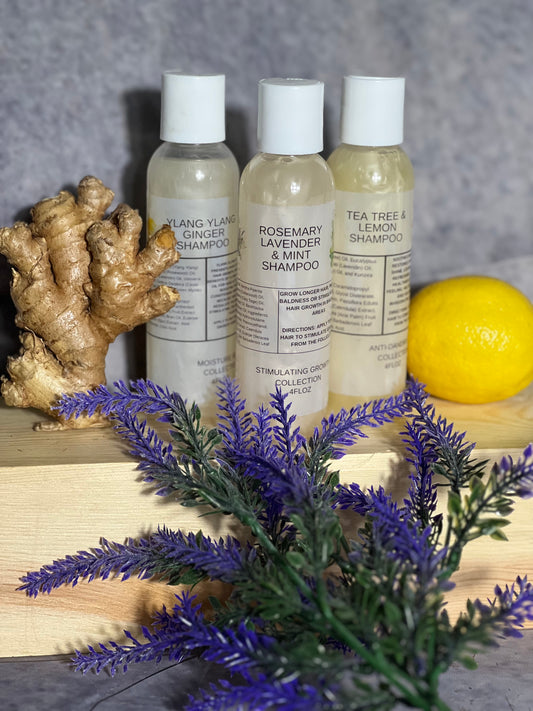 Shampoo & Conditioner